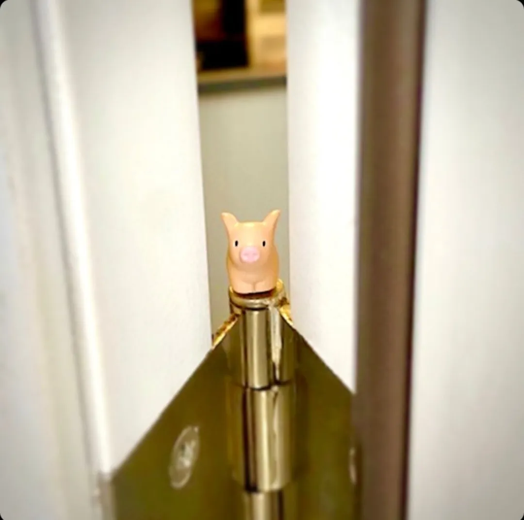 Cute Hinge Head
