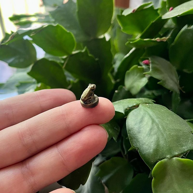 Hinge Head Home Decoration