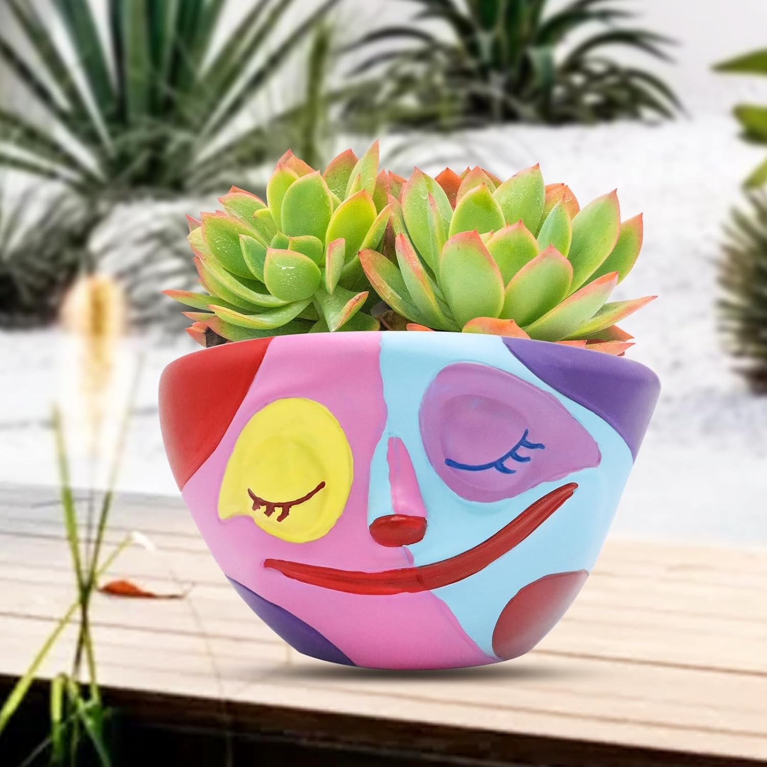 🏡Colorful human face flower pot garden decoration
