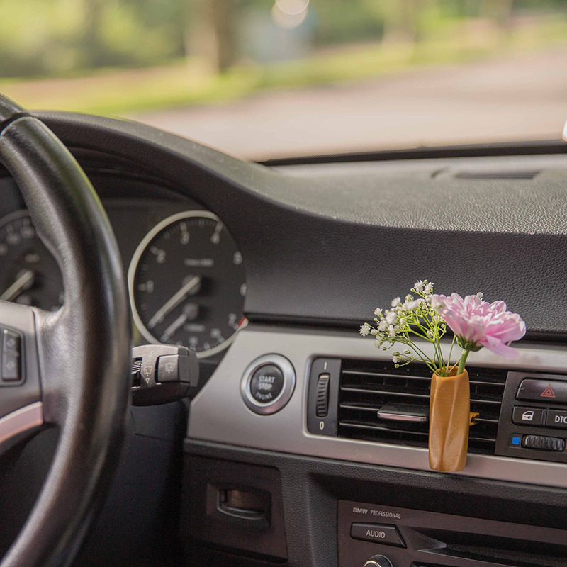 🚗Cozy Boho Car Vase🎁