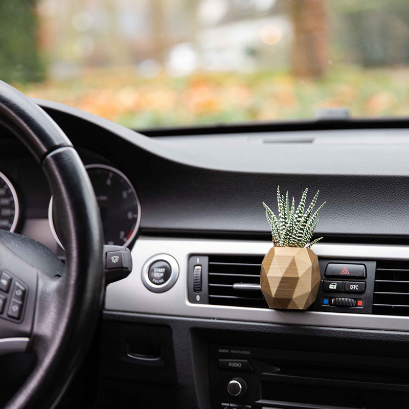 🚗Cozy Boho Car Vase🎁