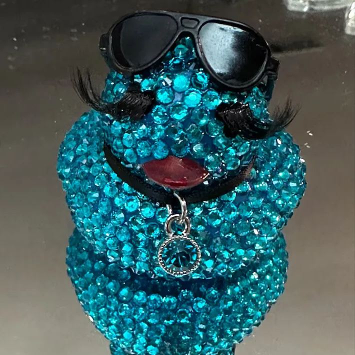 ✨🦆Bling Ducks