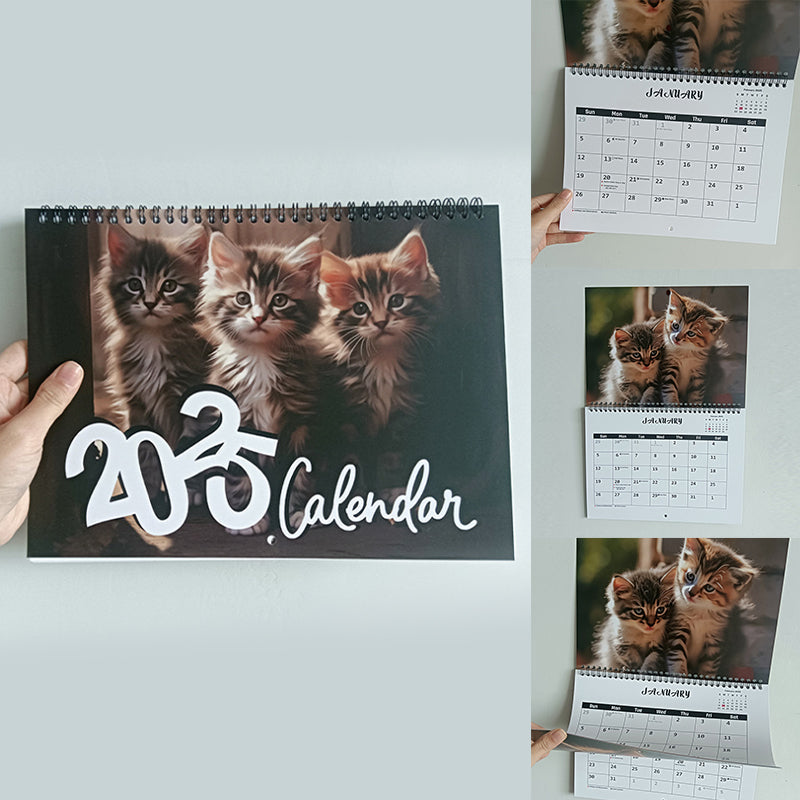 🐱2025 Three Cats Calendar