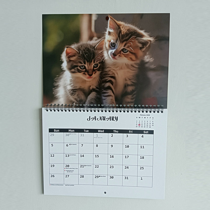 🐱2025 Three Cats Calendar
