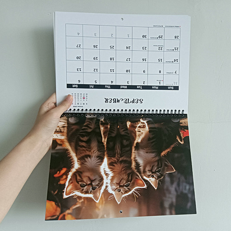🐱2025 Three Cats Calendar