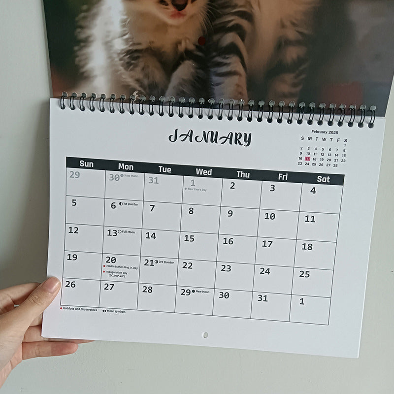 🐱2025 Three Cats Calendar