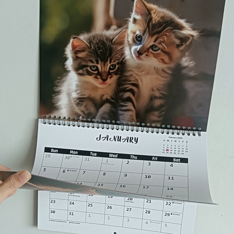 🐱2025 Three Cats Calendar
