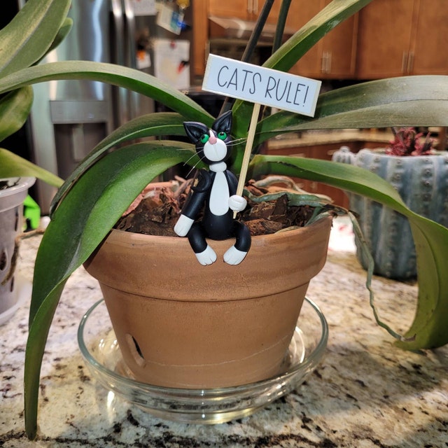 🐱Cat Potted Plant Caretaker