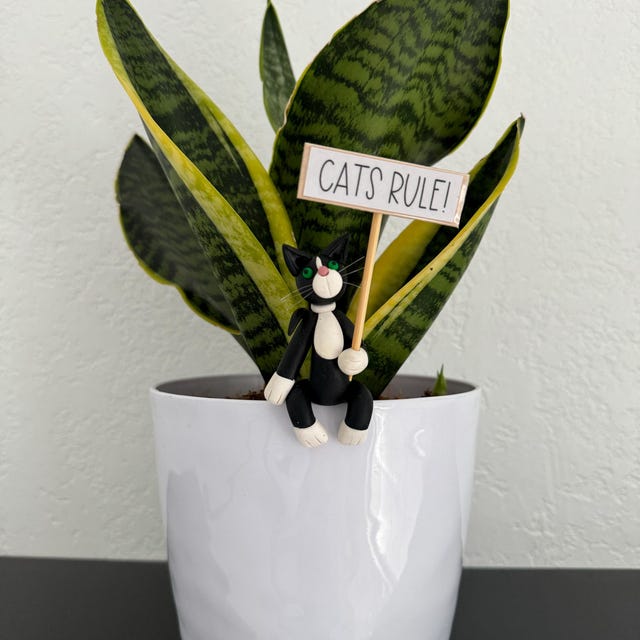 🐱Cat Potted Plant Caretaker