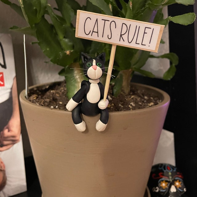 🐱Cat Potted Plant Caretaker