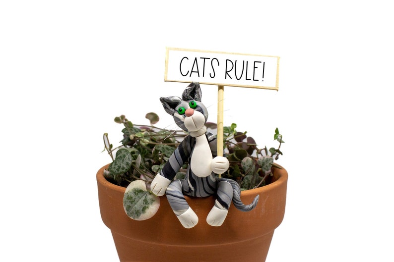 🐱Cat Potted Plant Caretaker