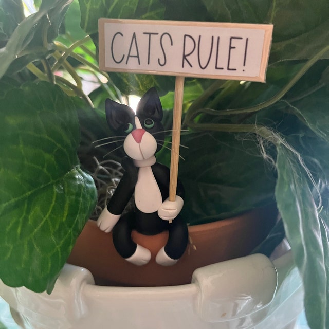 🐱Cat Potted Plant Caretaker