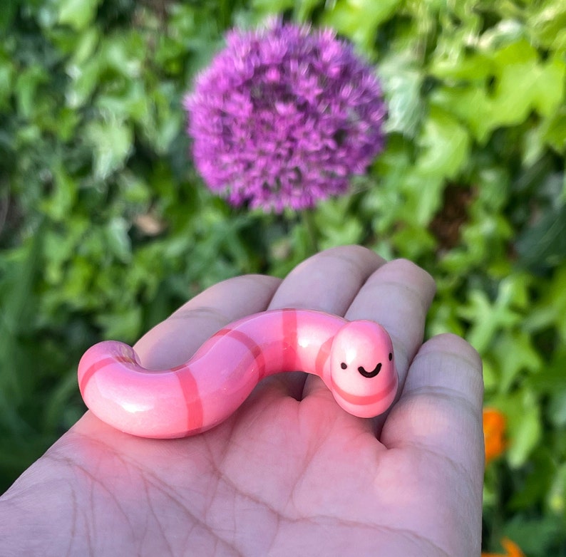 🥰Cute!!!Handmade Worm Desk Buddy-Adopt A Mini Earthworm Pet