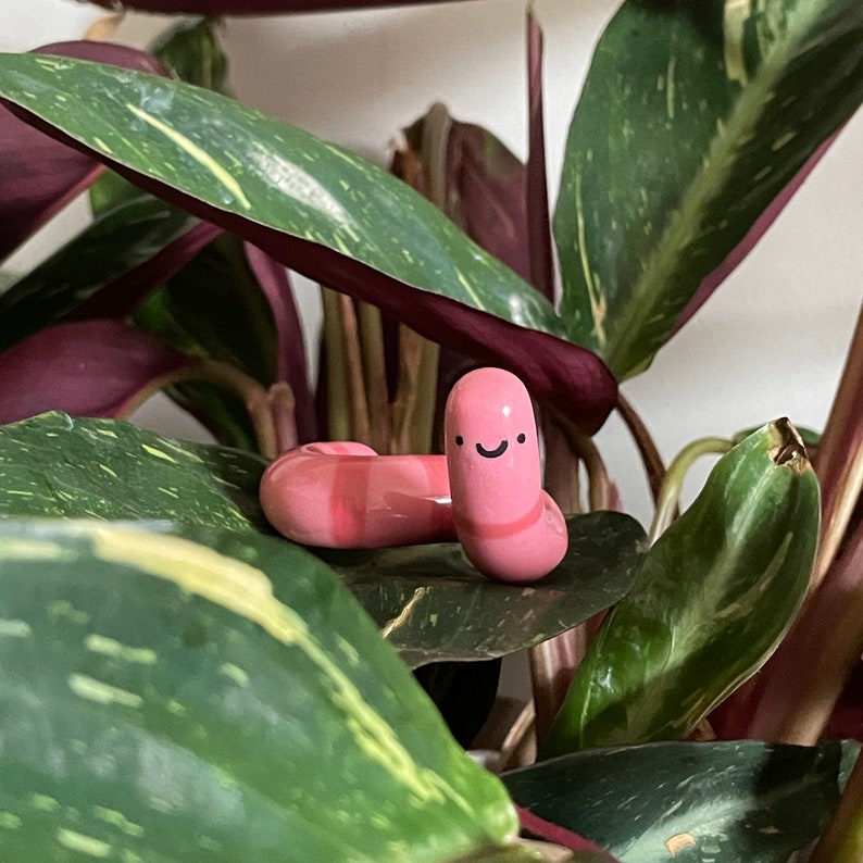 🥰Cute!!!Handmade Worm Desk Buddy-Adopt A Mini Earthworm Pet