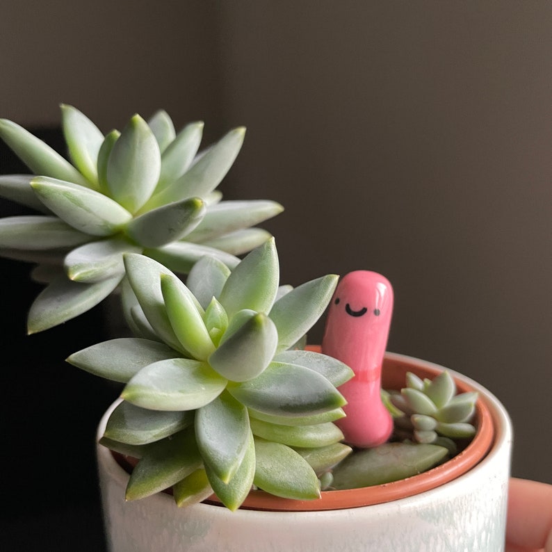 🥰Cute!!!Handmade Worm Desk Buddy-Adopt A Mini Earthworm Pet