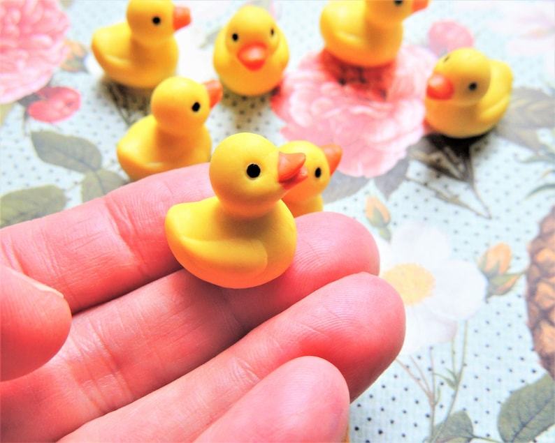 🦆Duck Jar - Give A Duck🖕🏻