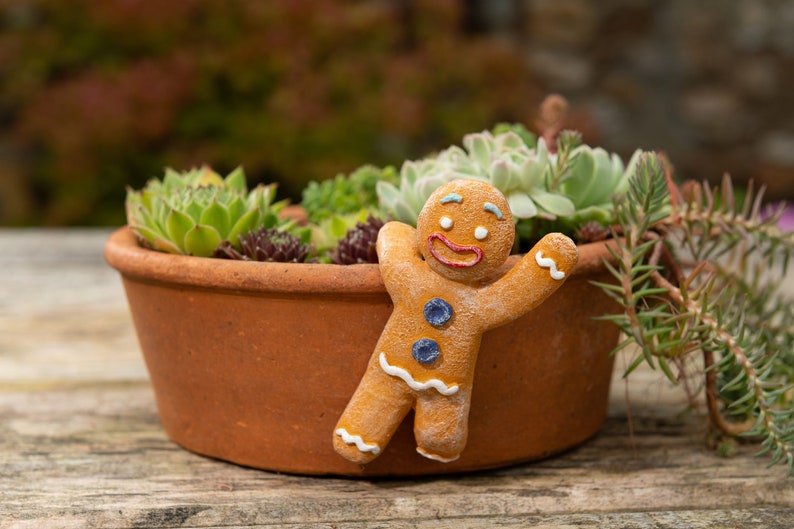 🪴Flower Pot Partner Christmas Gift Garden Decoration🎁