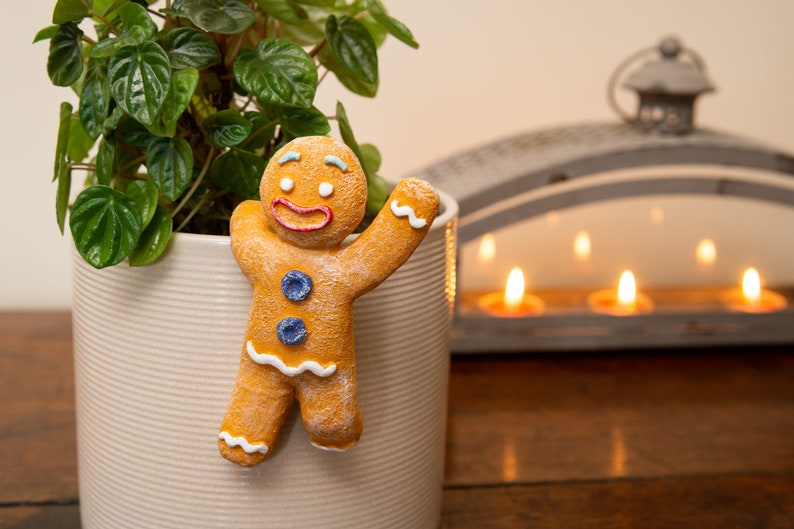 🪴Flower Pot Partner Christmas Gift Garden Decoration🎁