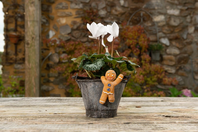 🪴Flower Pot Partner Christmas Gift Garden Decoration🎁
