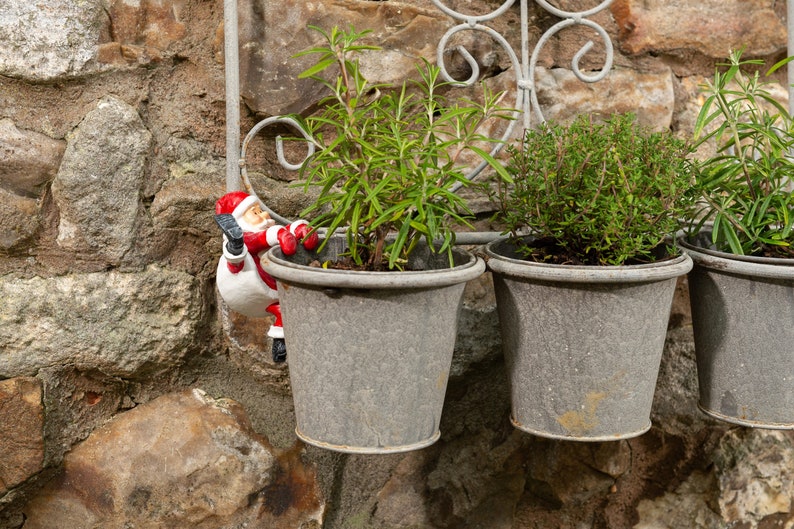 🪴Flower Pot Partner Christmas Gift Garden Decoration🎁