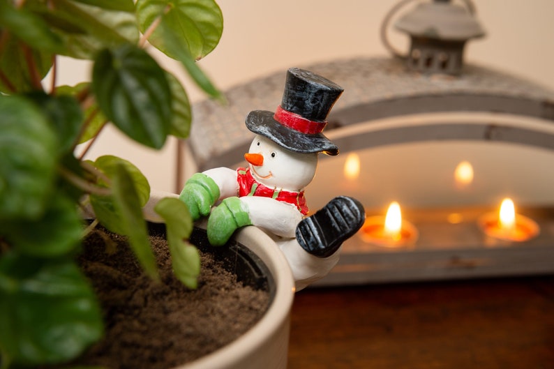 🪴Flower Pot Partner Christmas Gift Garden Decoration🎁