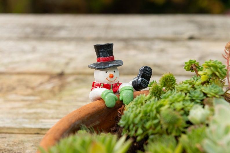 🪴Flower Pot Partner Christmas Gift Garden Decoration🎁