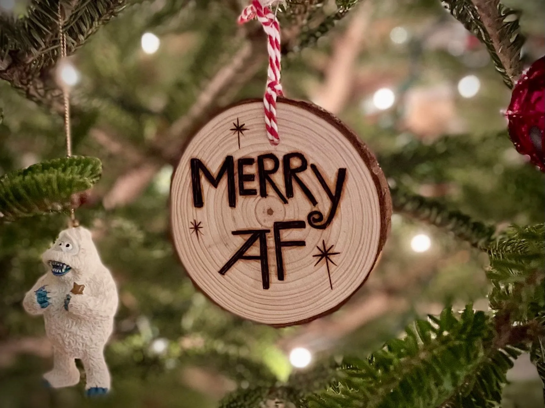 🎄Offensive Christmas Ornament