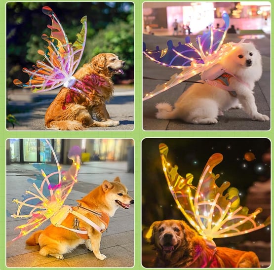 🔥Hot Sale 50% OFF🔥🧚‍♀DIY LED Princess Butterfly Wings✨