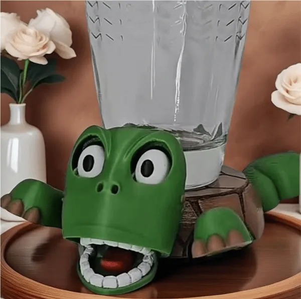 Funny Turtle Coasters