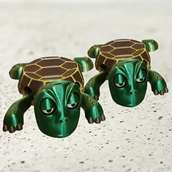 Funny Turtle Coasters