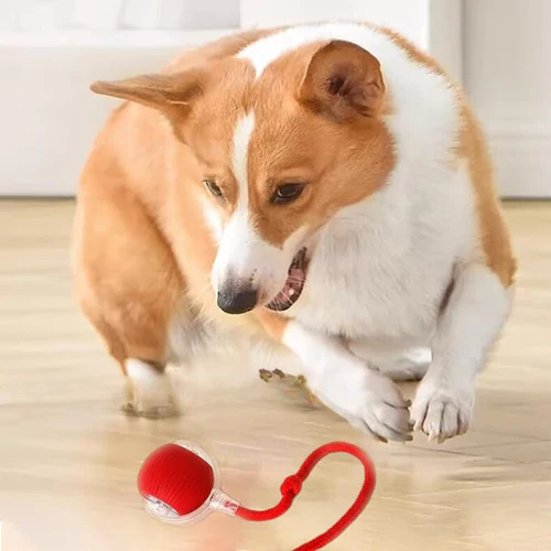 💥New Year Gift Sale 60% OFF💥Interactive Pet Tail Ball 🐾