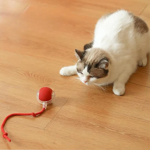 💥New Year Gift Sale 60% OFF💥Interactive Pet Tail Ball 🐾