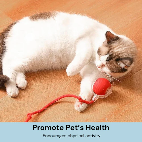💥New Year Gift Sale 60% OFF💥Interactive Pet Tail Ball 🐾