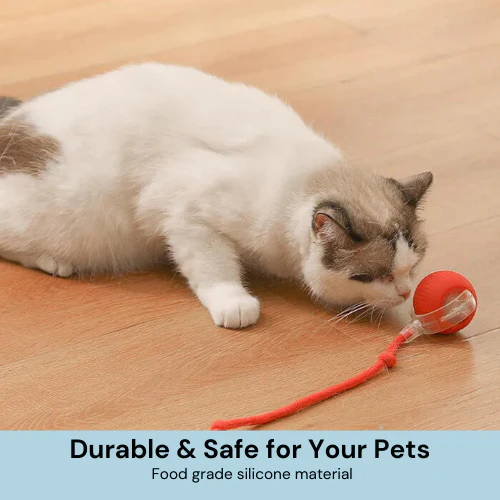 💥New Year Gift Sale 60% OFF💥Interactive Pet Tail Ball 🐾