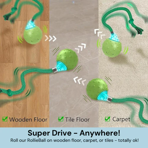 💥New Year Gift Sale 60% OFF💥Interactive Pet Tail Ball 🐾