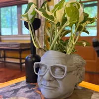 The Original XL Danny DeVito Frank Reynolds Head Planter