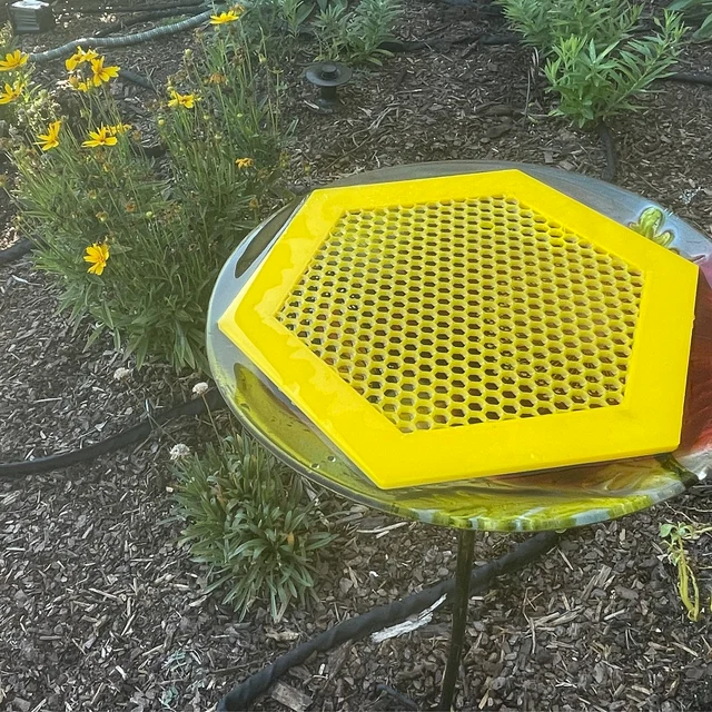 🐝Floating Bee Island