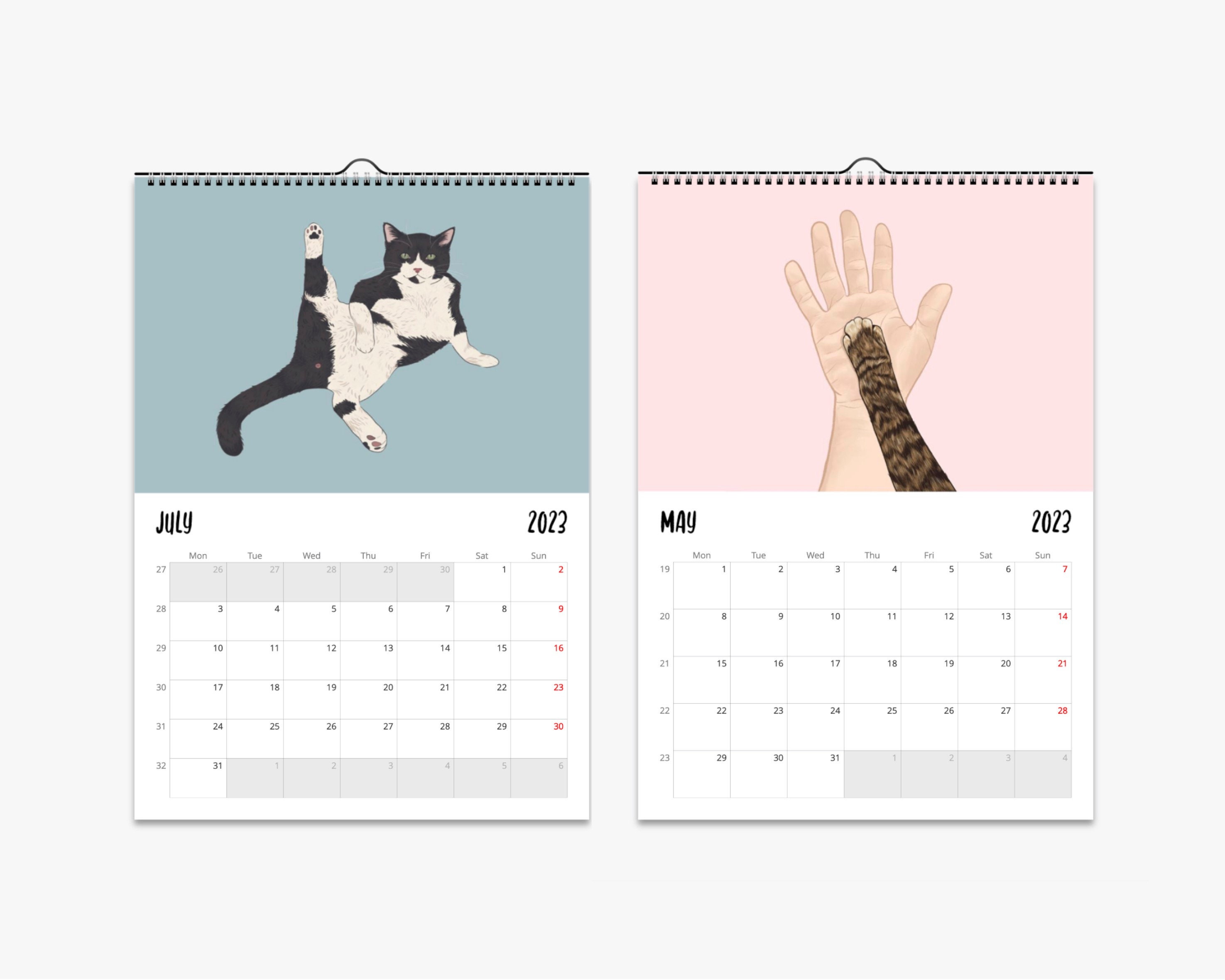 Cat Wall Calendar 2024