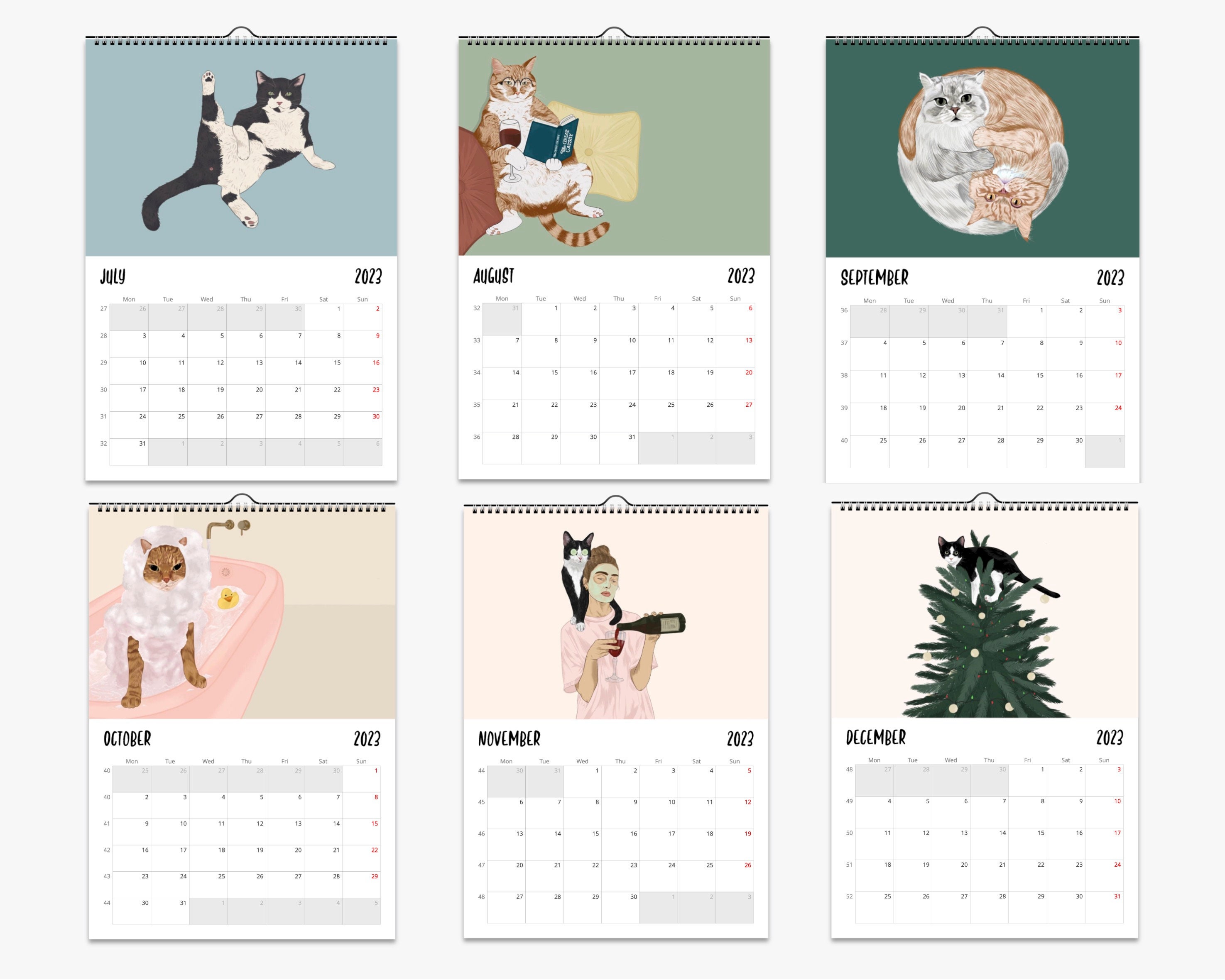 Cat Wall Calendar 2024