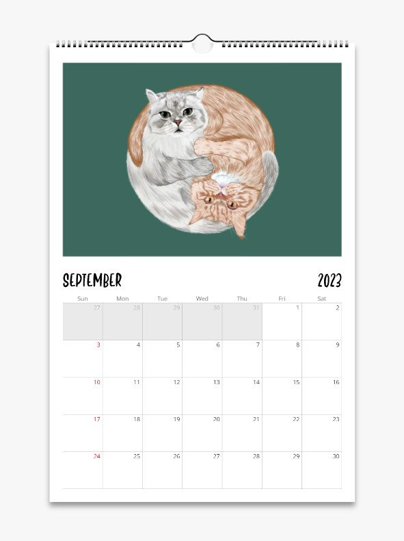 Cat Wall Calendar 2024