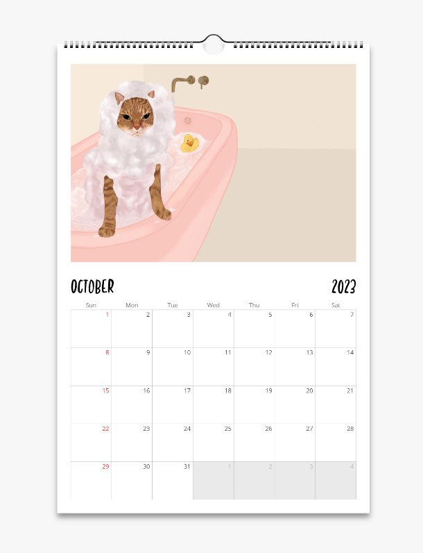 Cat Wall Calendar 2024