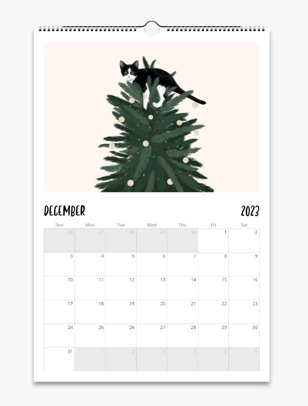 Cat Wall Calendar 2024