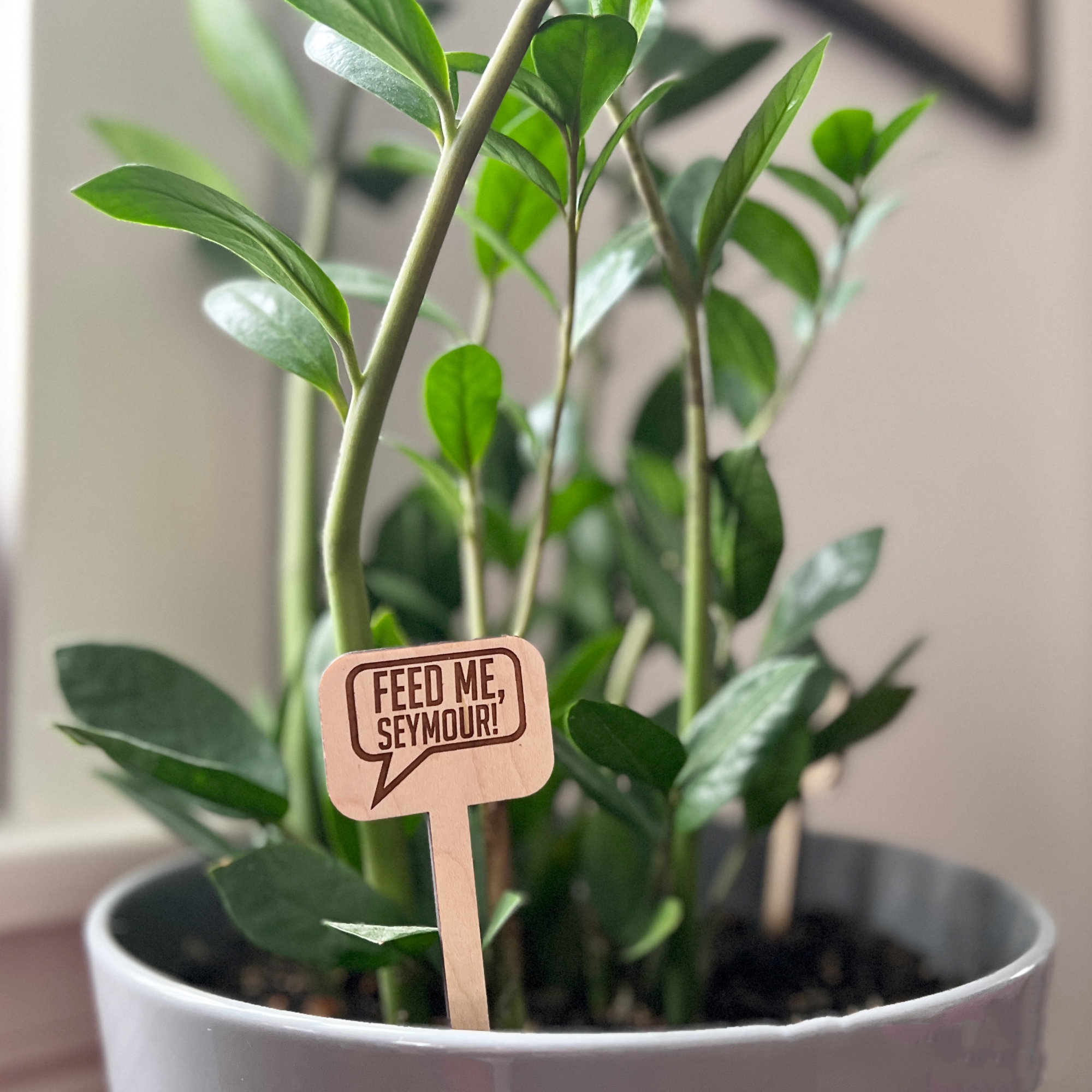 😆Fun Cheeky Woodplant Stakes