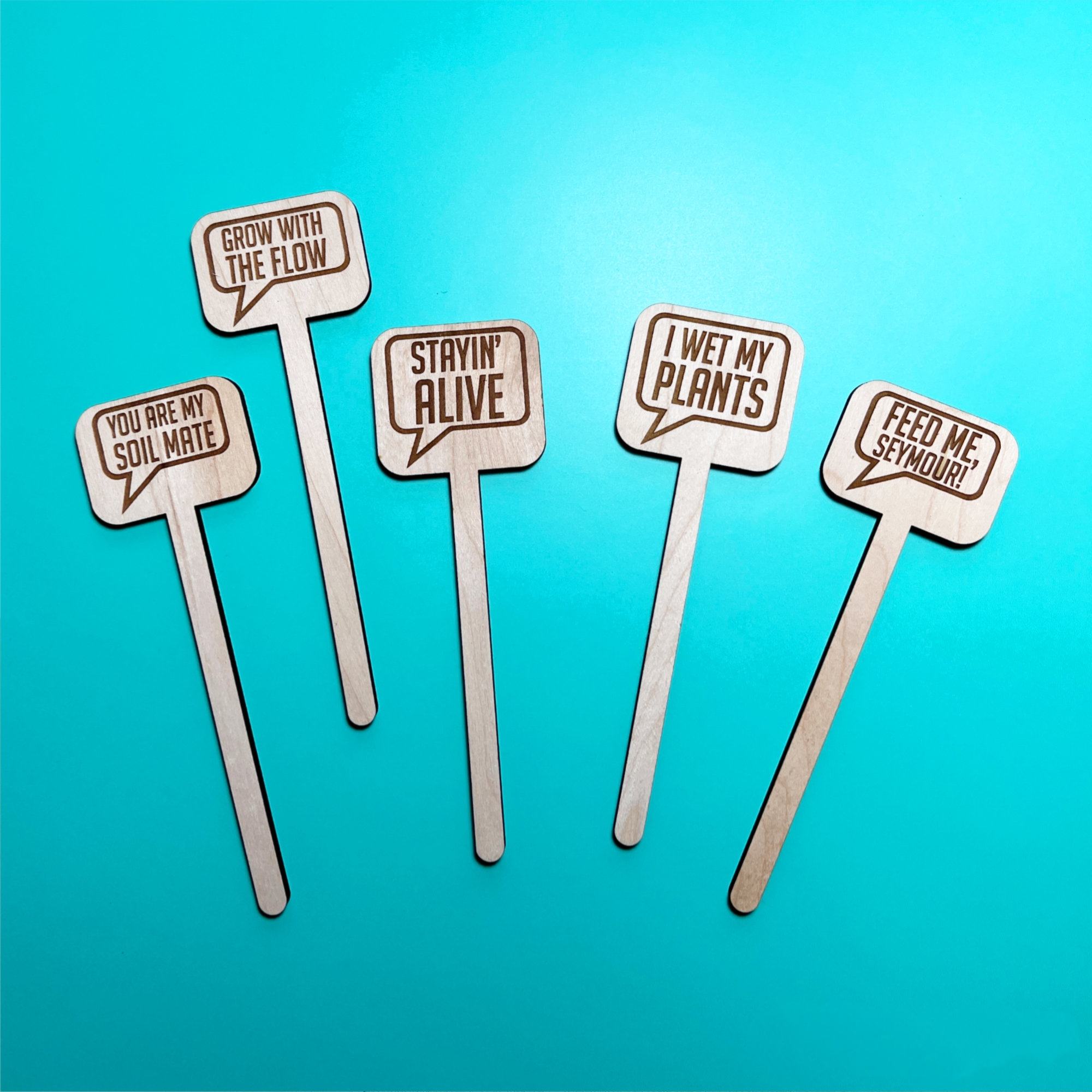 😆Fun Cheeky Woodplant Stakes