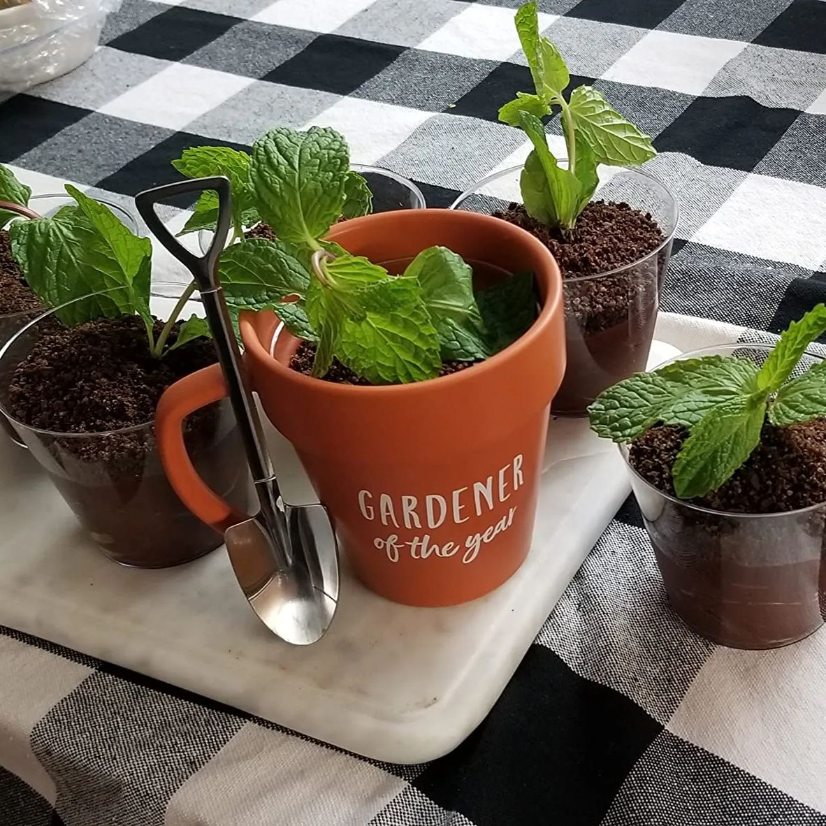 🌱Gardener Mug With Shovel Spoon
