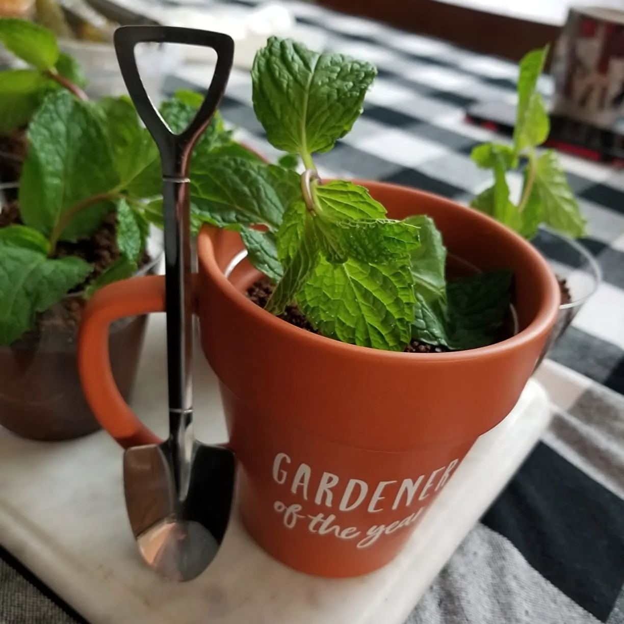 🌱Gardener Mug With Shovel Spoon