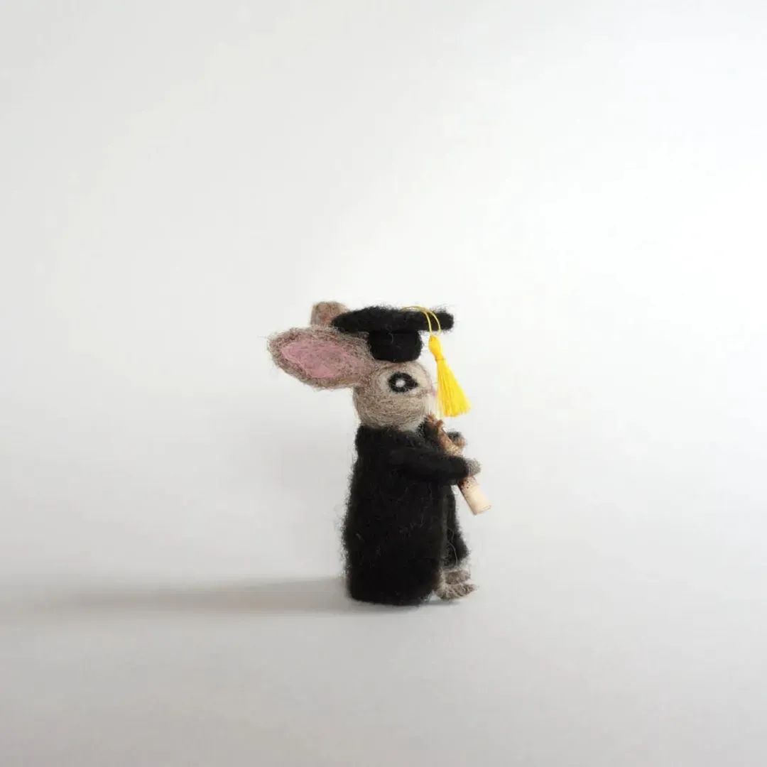 🐰College Cute Gift-Graduation Bunny