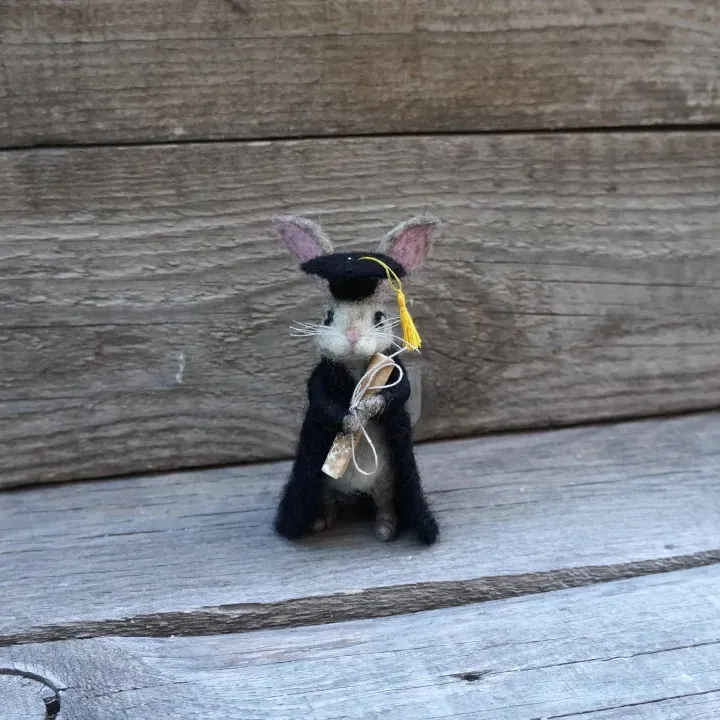 🐰College Cute Gift-Graduation Bunny