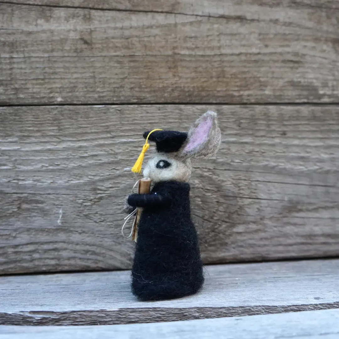 🐰College Cute Gift-Graduation Bunny
