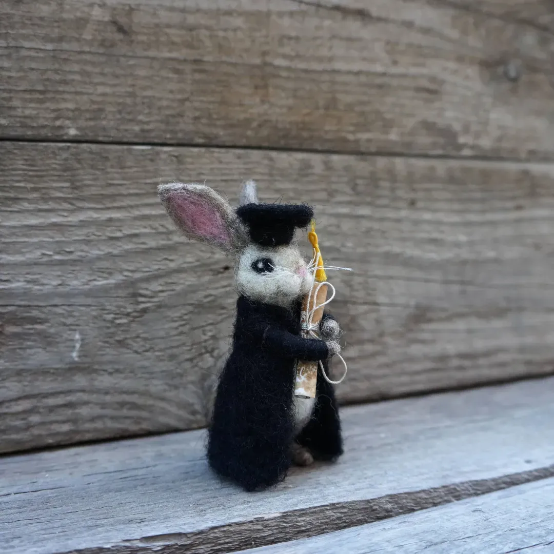 🐰College Cute Gift-Graduation Bunny